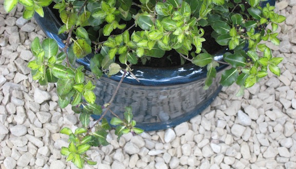 stone chippings