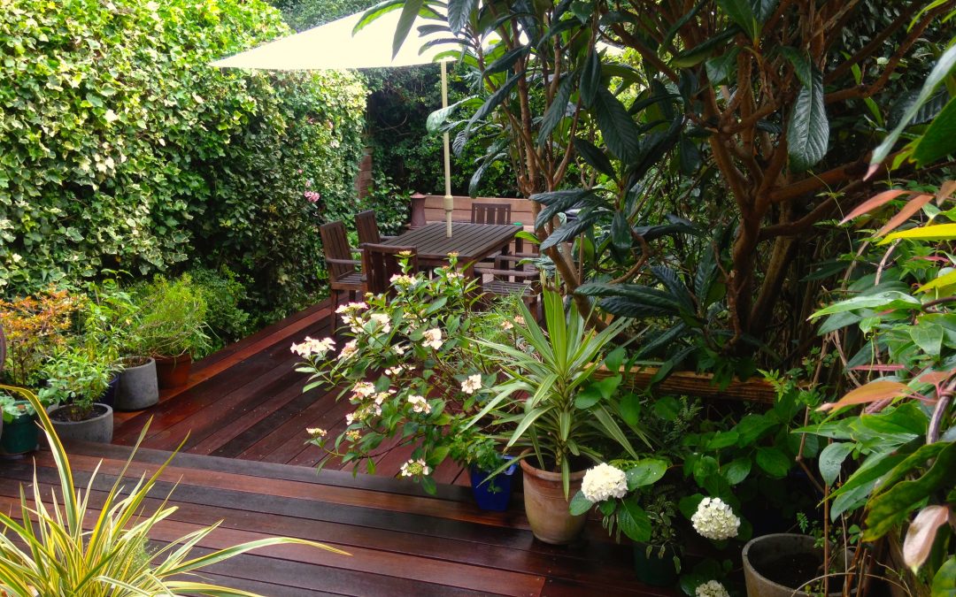 Balau hardwood decking