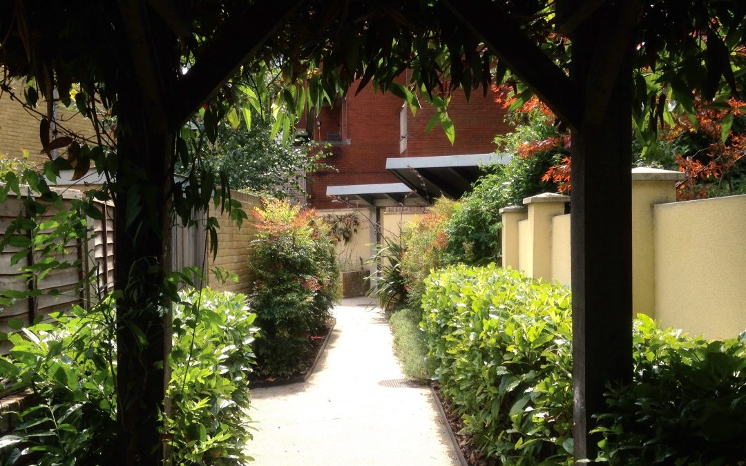 Communal gardens