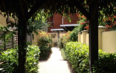 Communal gardens